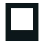 Capture SVG Icon